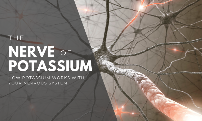 Potassium And Brain Waves
